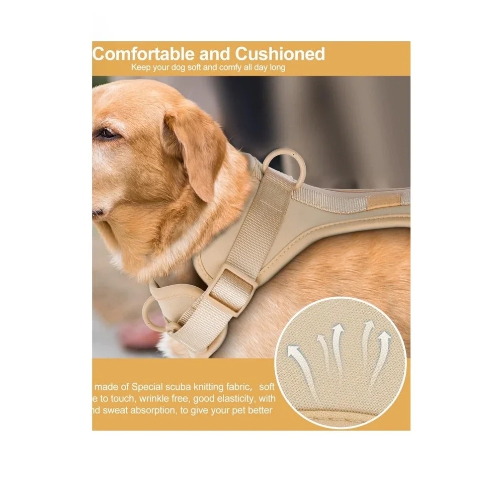 Wisedog introducing pet